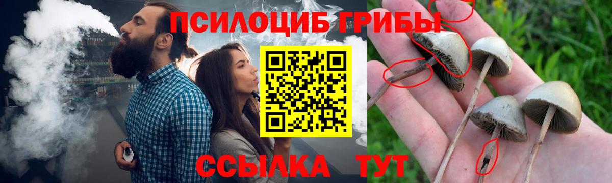 Галлюциногенные грибы ЛСД  Вход с VPN  Галлюциногенные грибы MAGIC MUSHROOMS  Владивосток 
