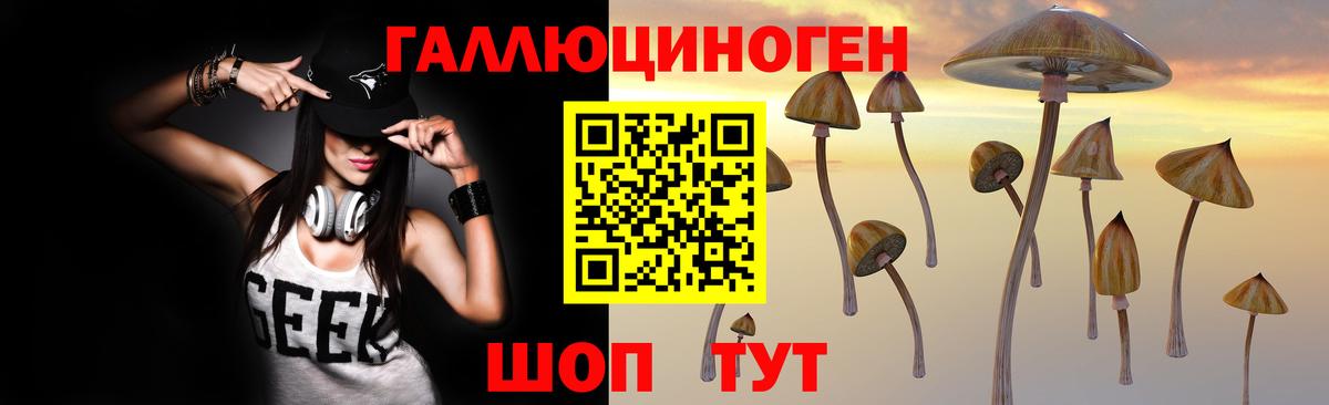 Галлюциногенные грибы Psilocybe Владивосток